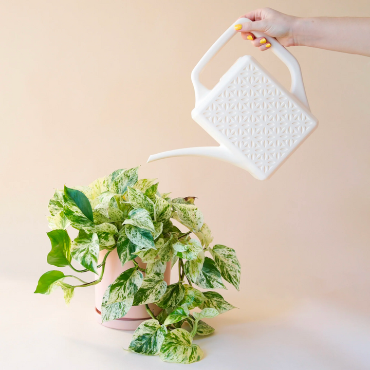 Breeze Block Watering Can