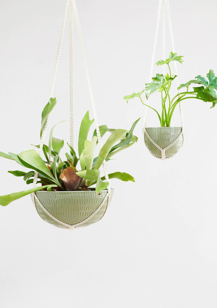 Macrame Hanging Planter - Olive Green