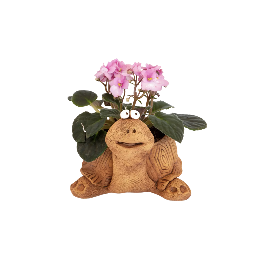 Turtle Ceramic Planter