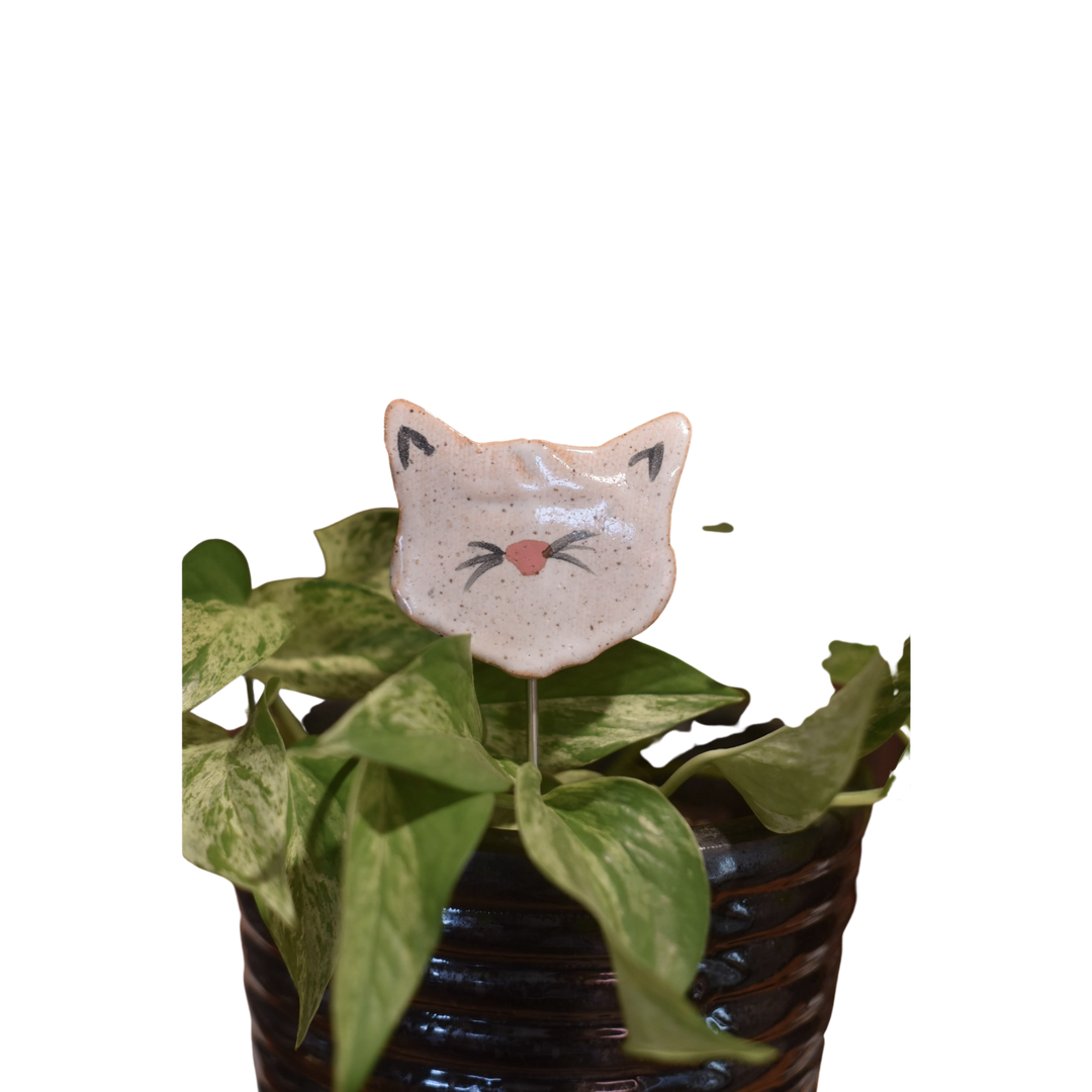 Plant Buddies - Cat / Kitten