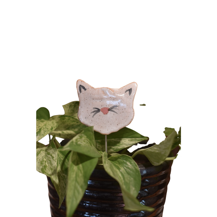 Plant Buddies - Cat / Kitten