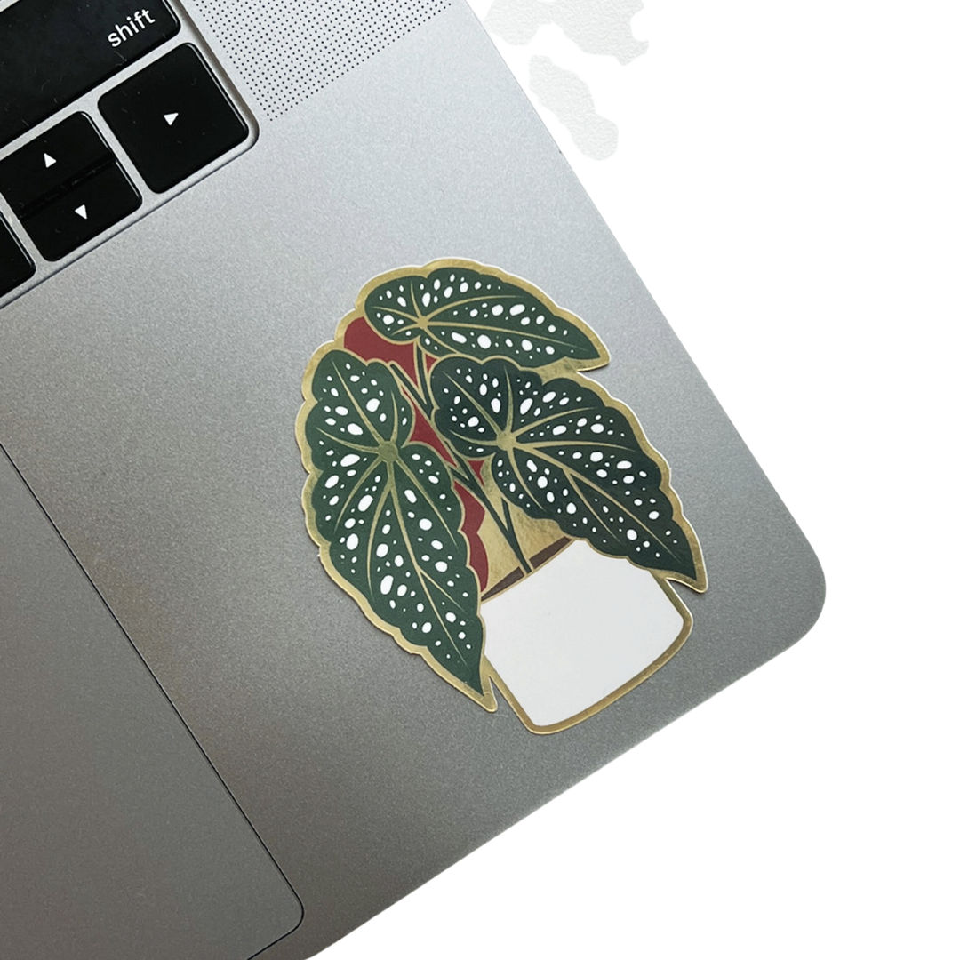 Begonia Sticker