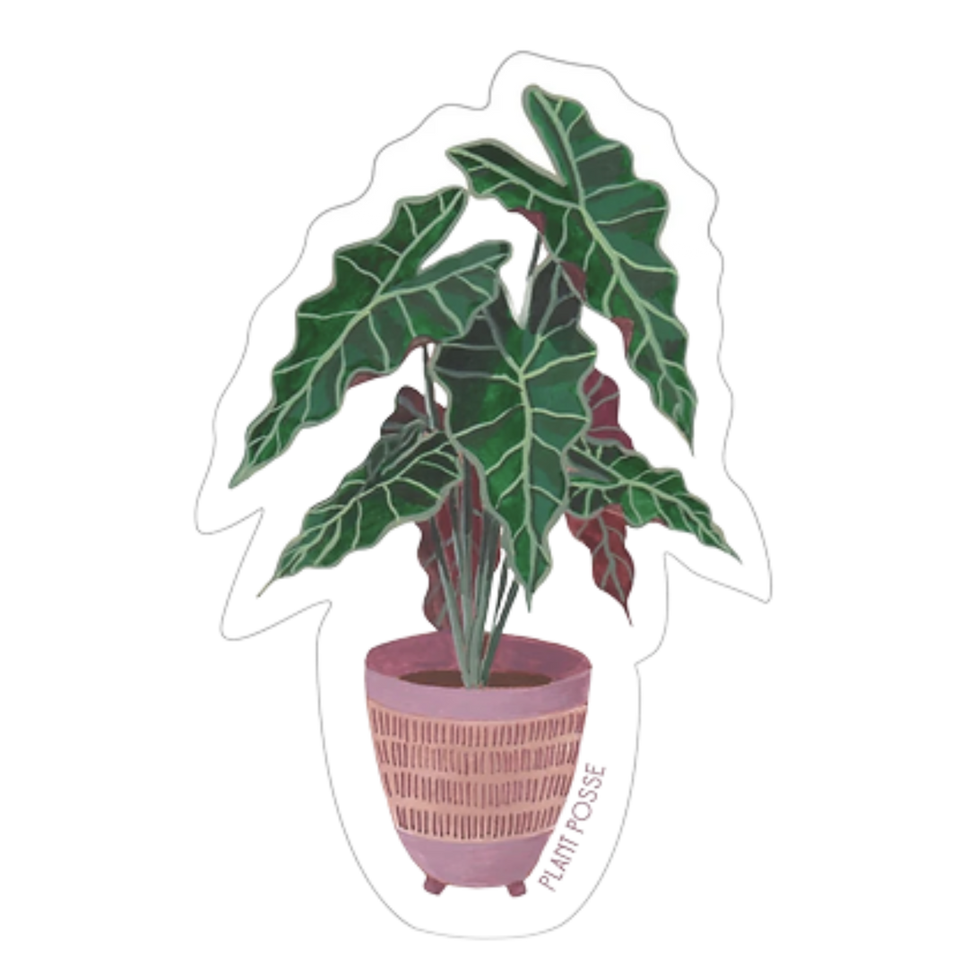 African Mask Plant Sticker