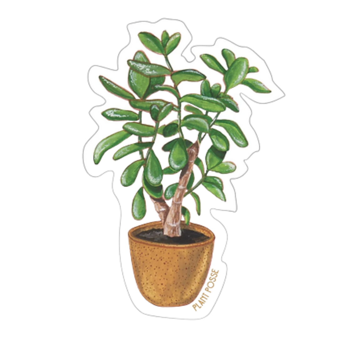 Jade Plant Sticker