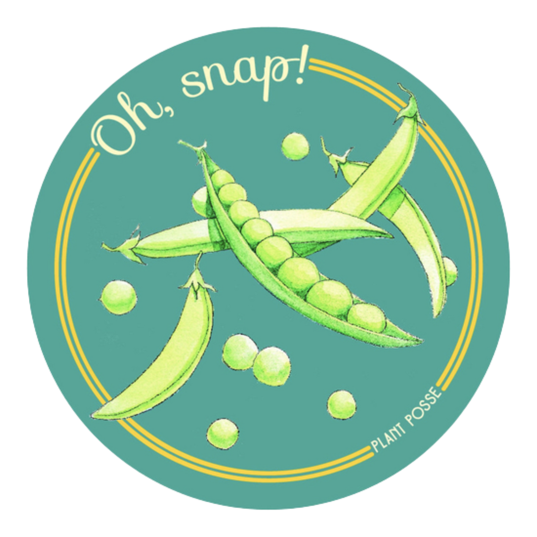 Oh Snap! Sticker