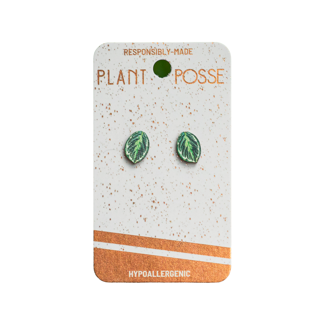 Medallion Prayer Plant Stud Earrings