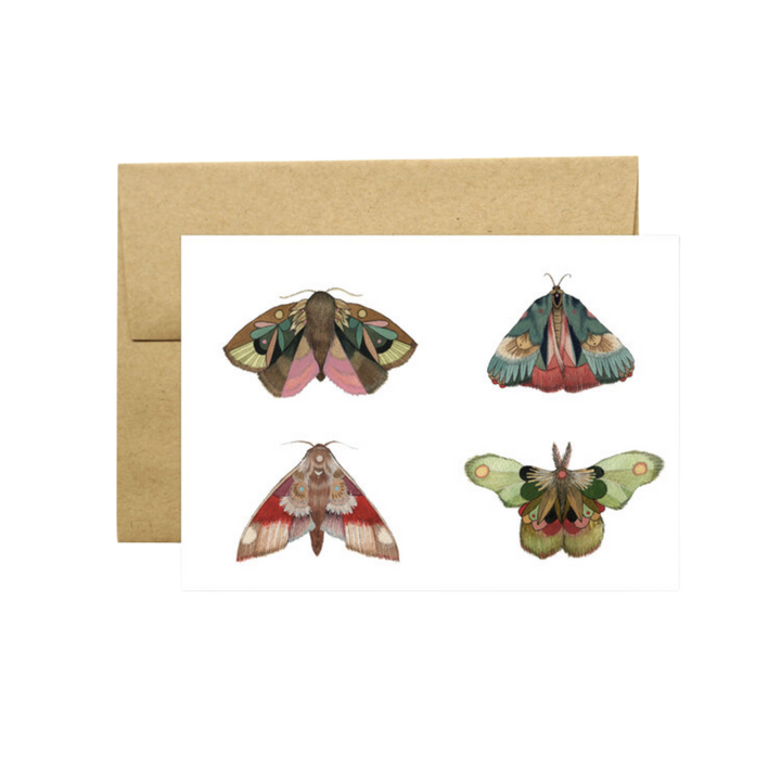 Collector: Moths II - Greeting Card