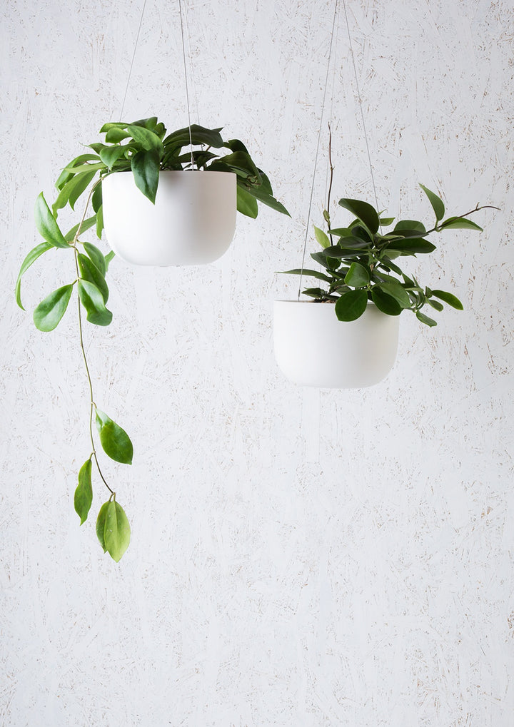 Raw Earth Hanging Planter - Chalk White