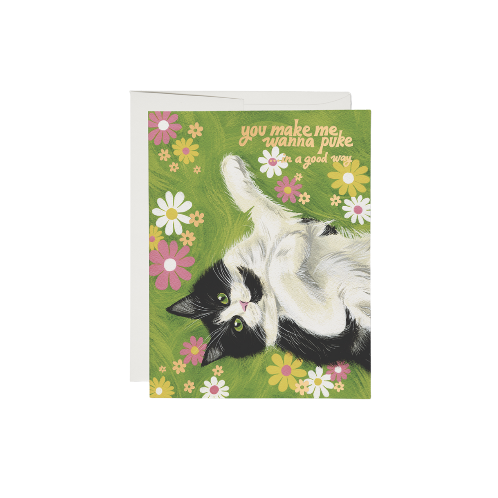 Nice Kitty Card
