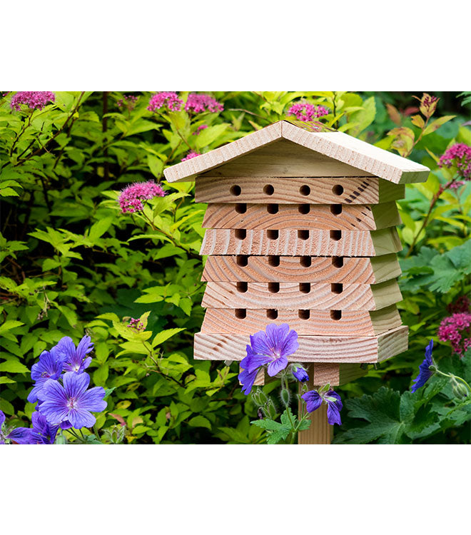Stacking Solitary Bee Hive