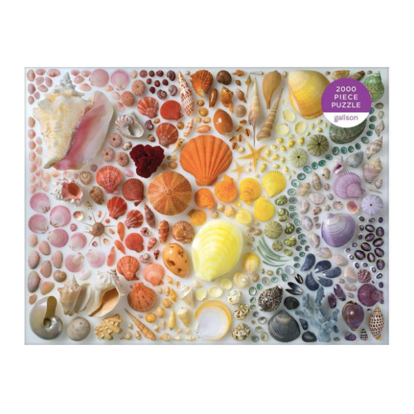 Rainbow Seashells Jigsaw Puzzle