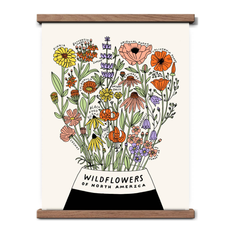 Wildflowers of North America Botanical Print