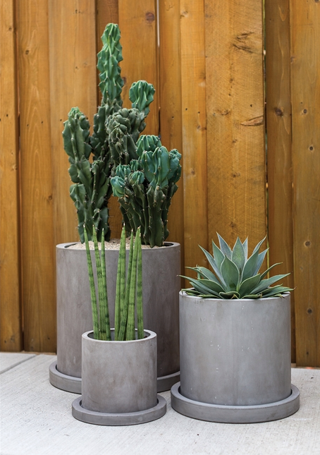 Marta Pot