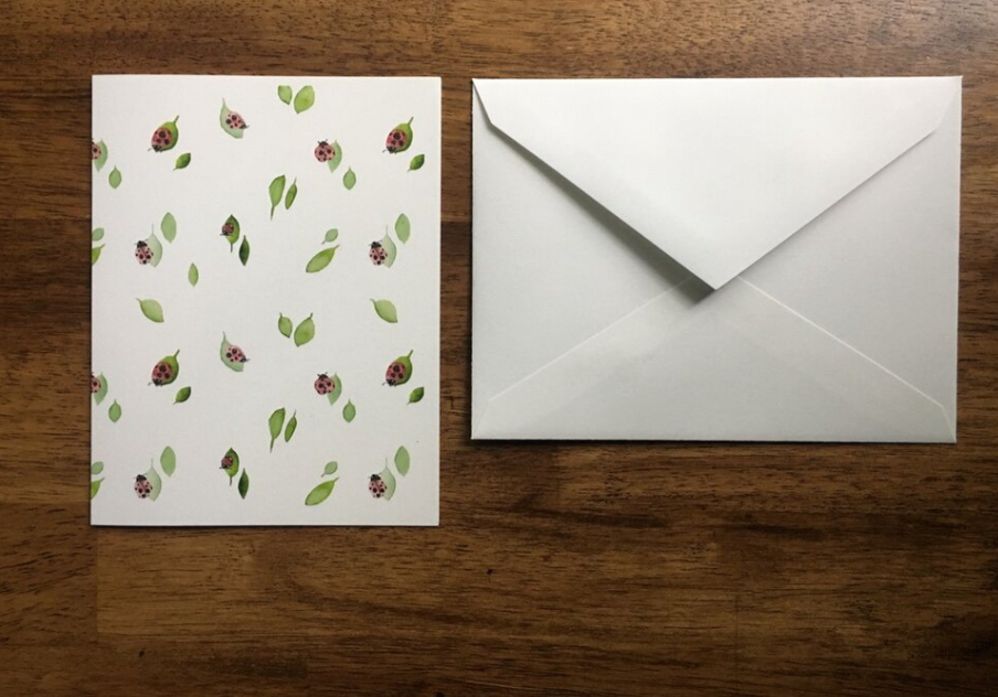 Ladybug and Leaves Boxed Set of Cards
