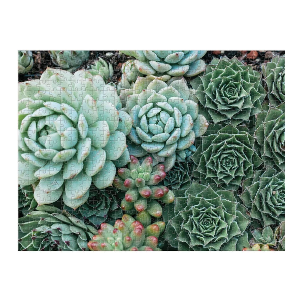 Succulent Garden 2-sided 500 Piece Puzzle