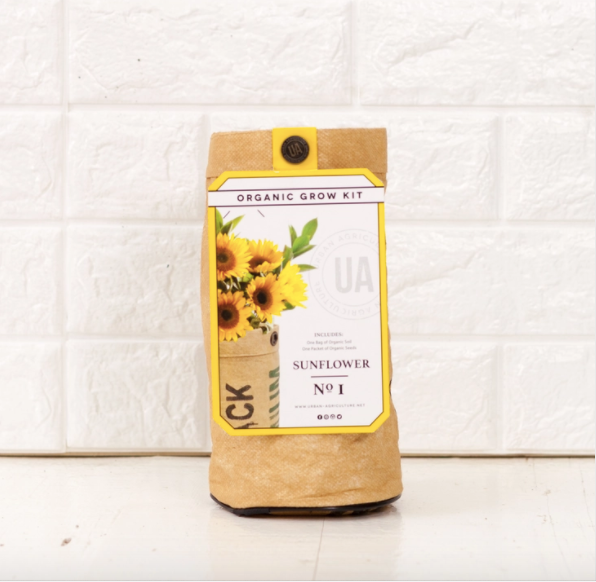 Sunflower Grow Kit