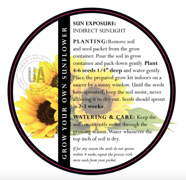 Sunflower Grow Kit