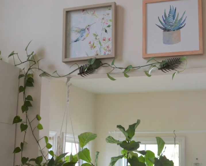 Palmella- Wall Mounted Trellis