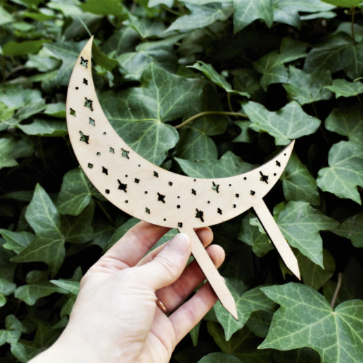 Moon and Stars Trellis