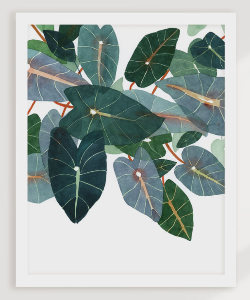 Caladiums Art Print - 11"x14"