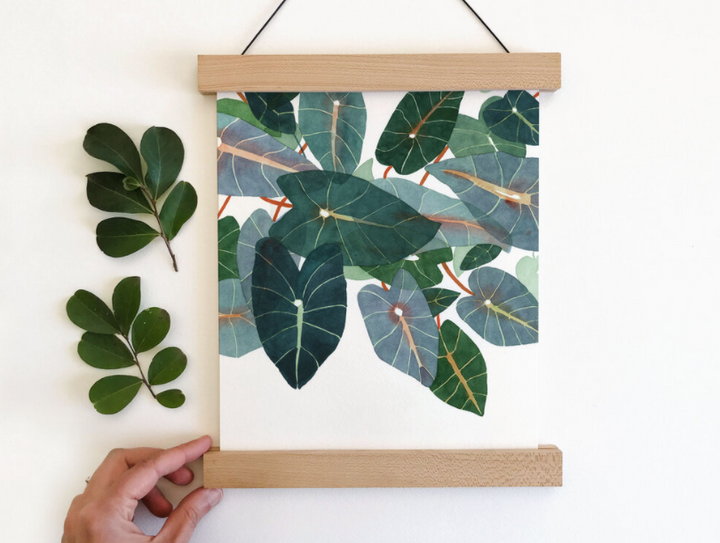 Caladiums Art Print - 11"x14"