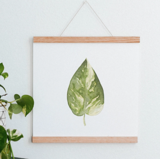 Golden Pothos Art Print