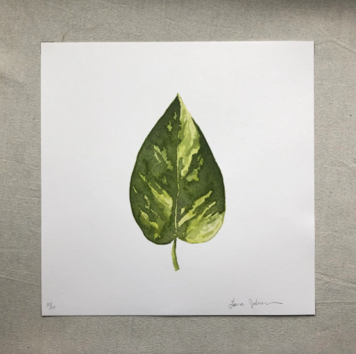 Golden Pothos Art Print