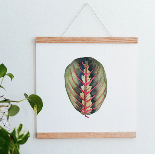 Red Prayer Plant Art Print