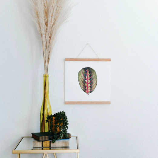 Red Prayer Plant Art Print