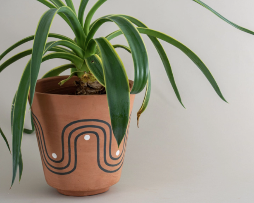 Ezra Planter - Small