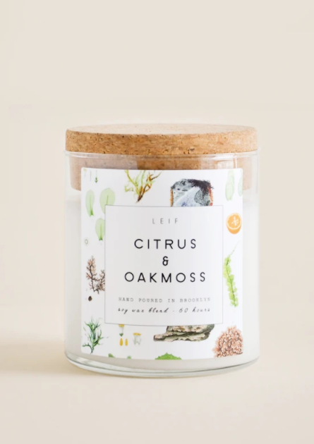 Botanist Candle - Citrus & Oakmoss