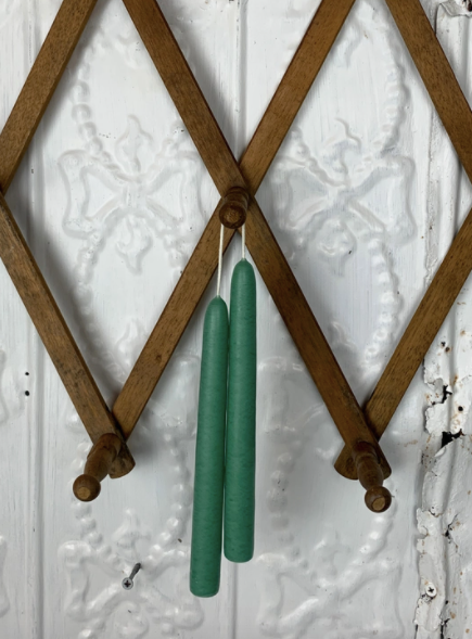 Tapered Candles - Succulent