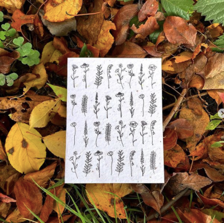 Wildflowers Seed Paper Card