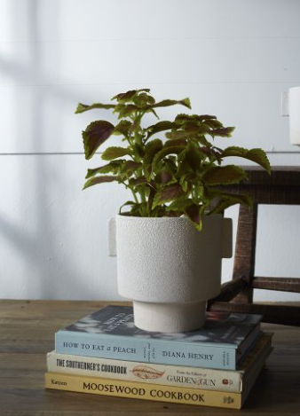 Milton Pot