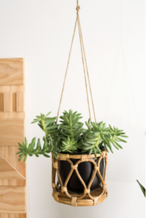 Boca Hanging Planter