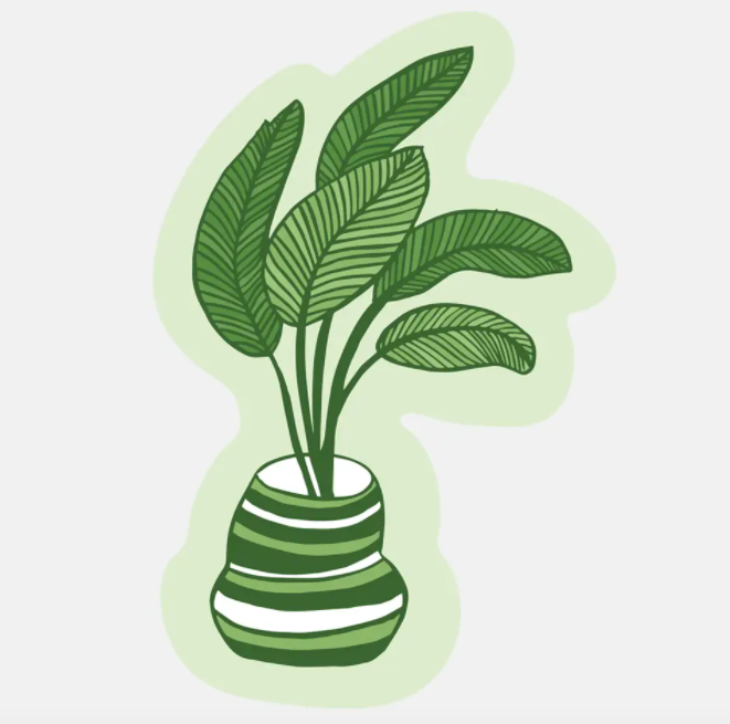 Plant Sticker