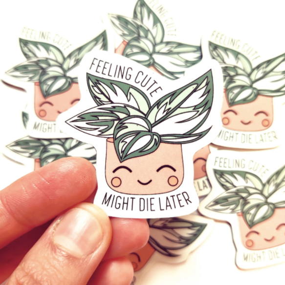 Feeling Cute Magnet