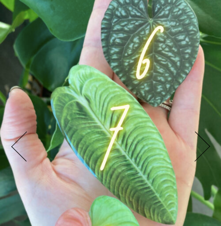 Plant Leaf Phone Grips