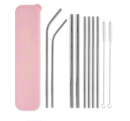 Stainless Steel Straw Set