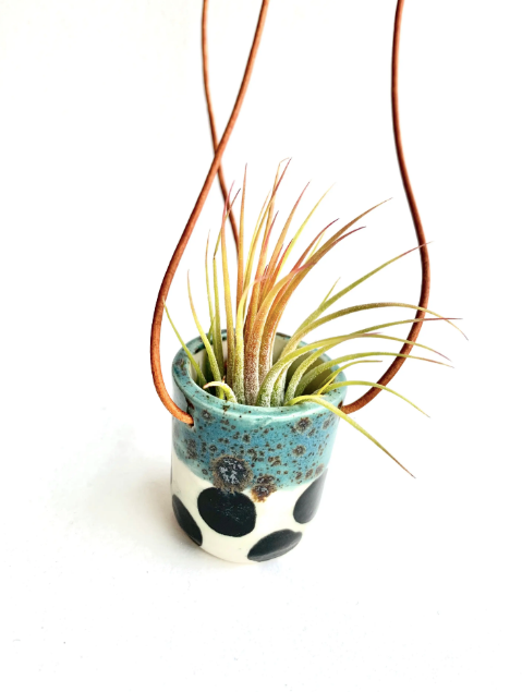 Ceramic Cup Hanging Air Plant Holder