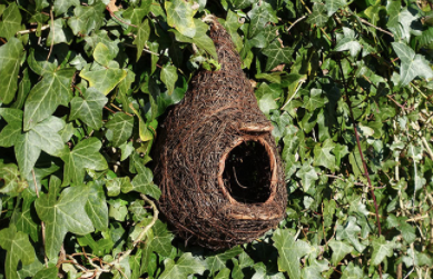 Giant Roost Nest Pocket