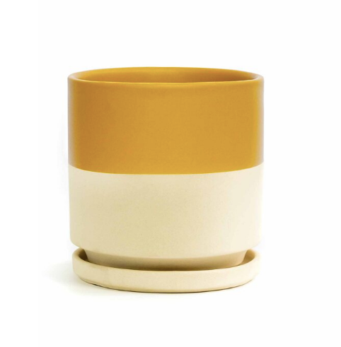 8.25" Gemstone Cylinder Pots with Water Tray