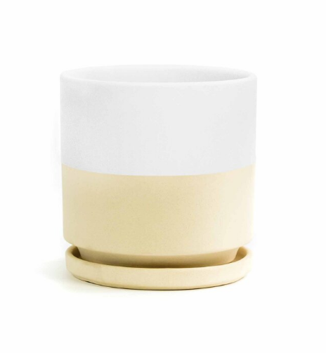 8.25" Gemstone Cylinder Pots with Water Tray