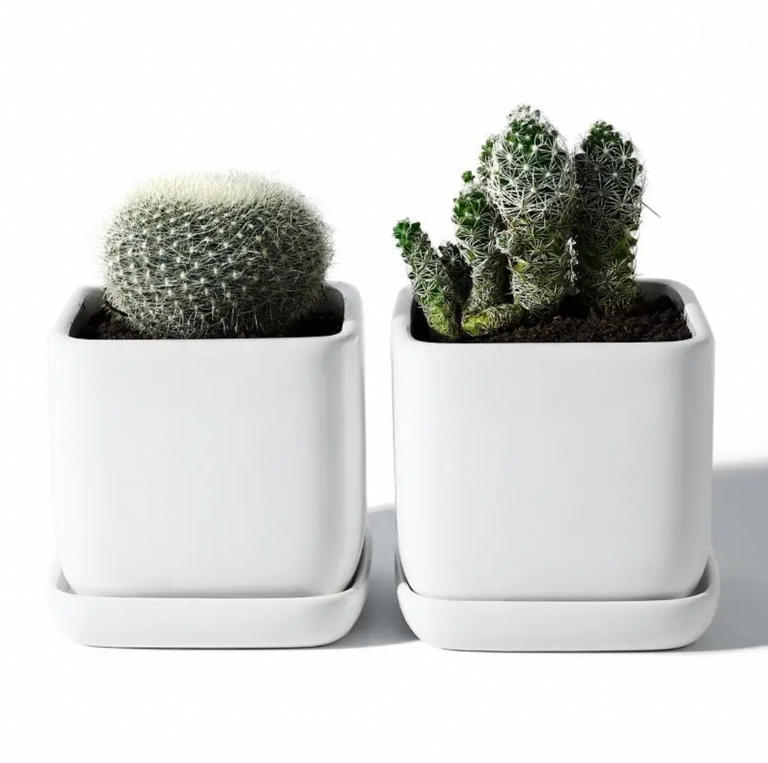 3.5 Inch Square Succulent Pot