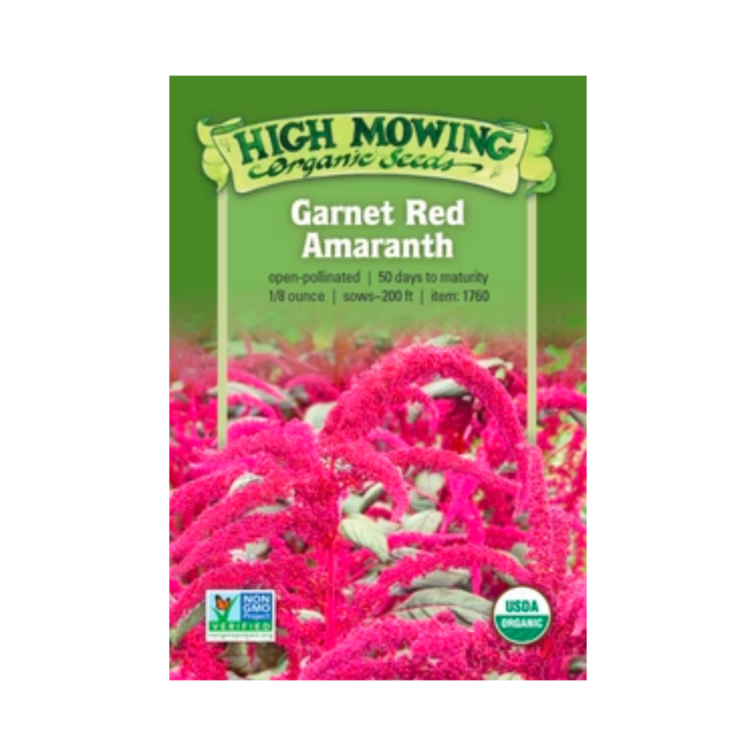 Garnet Red Amaranth Flowers: 1/8 OZ