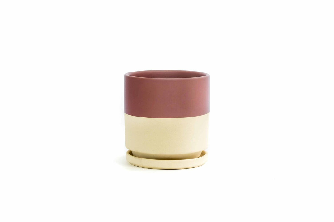 4.5" Gemstone Cylinder Pots with Water Tray