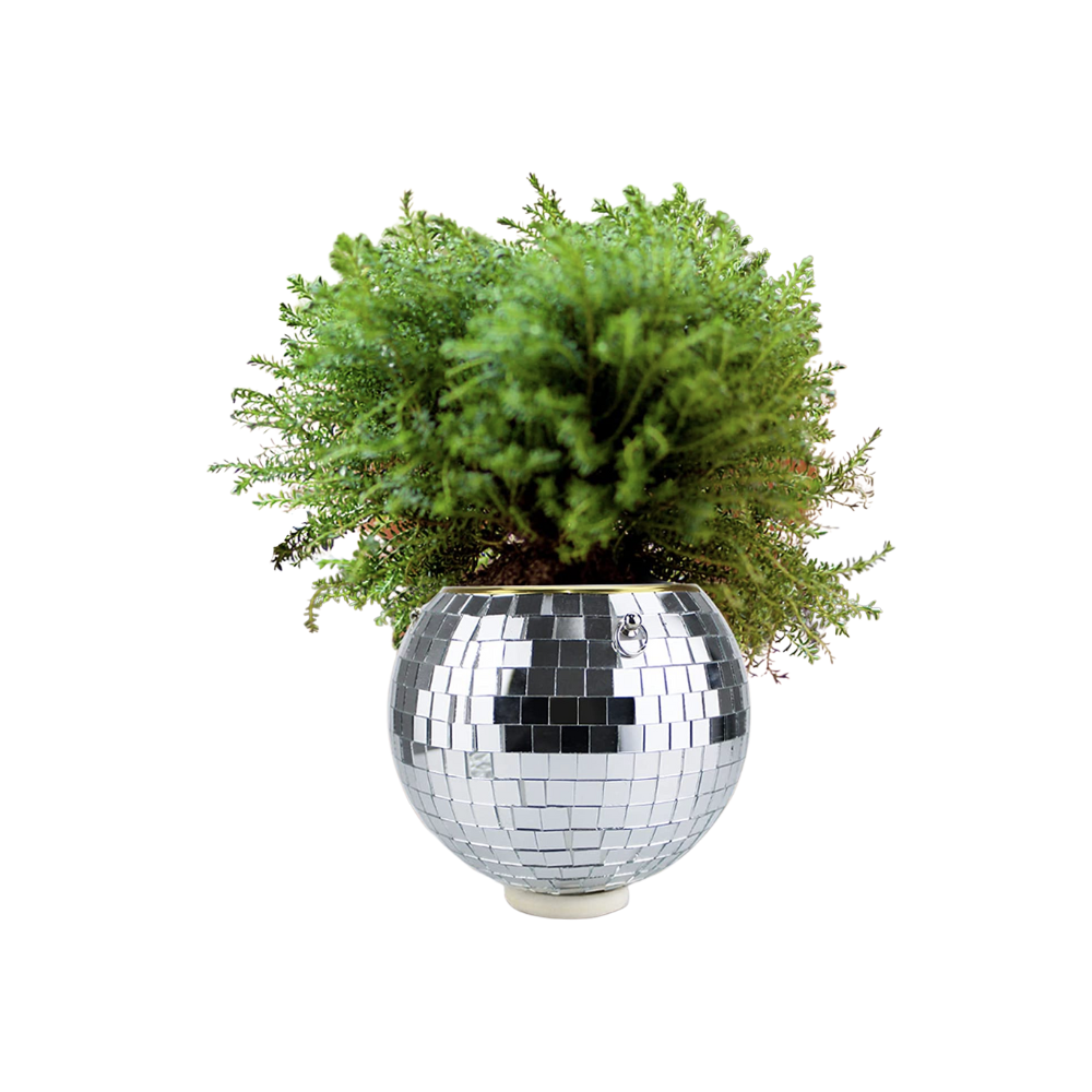 4" Disco Ball Hanging Planter