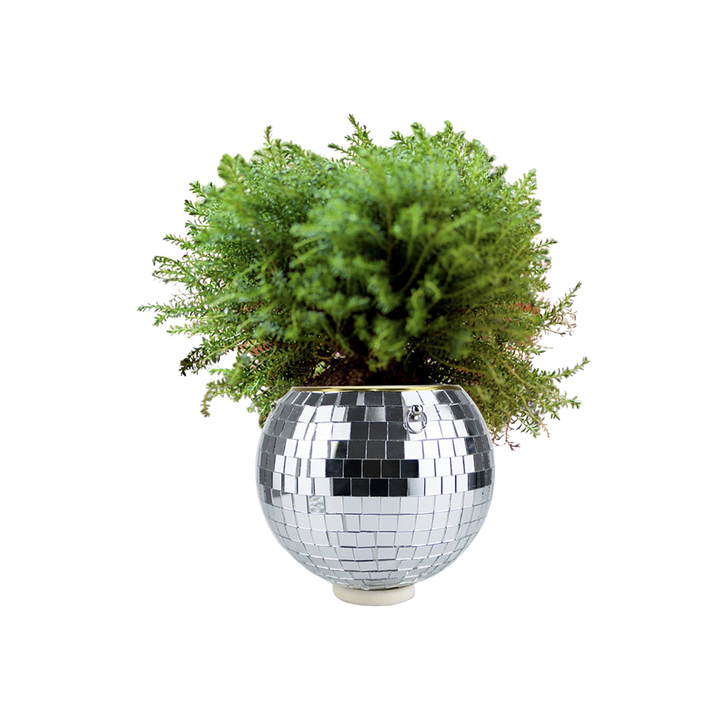 4" Disco Ball Hanging Planter