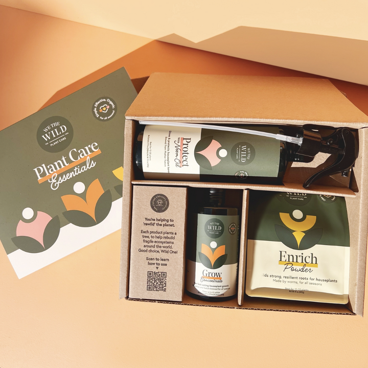 Essential Plant Care Kit