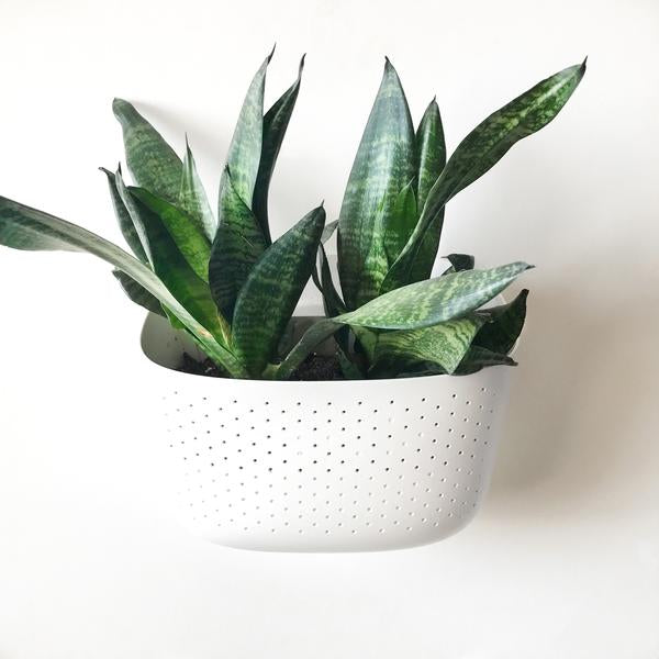 Wally Eco Planter